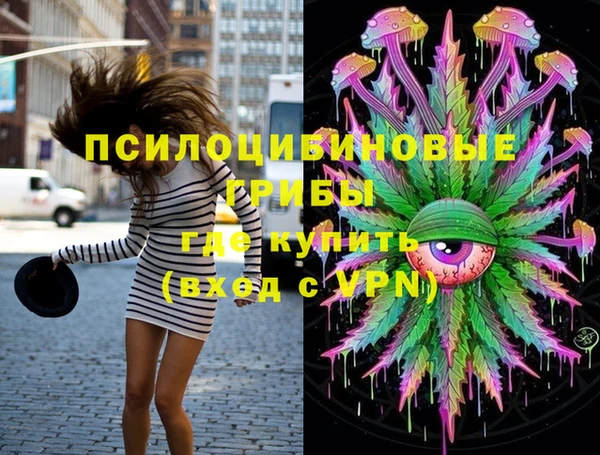 бошки Алексин