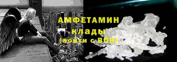 твердый Абаза