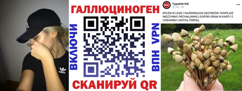 Псилоцибиновые грибы мухоморы Кострома